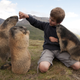 Illustration for article titled Science demands that you stop calling this kid the Marmot Whisperer